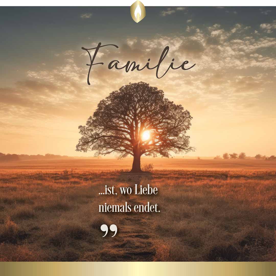 Hofer Premium 7 Tage Motivlicht „Familie“ transparent